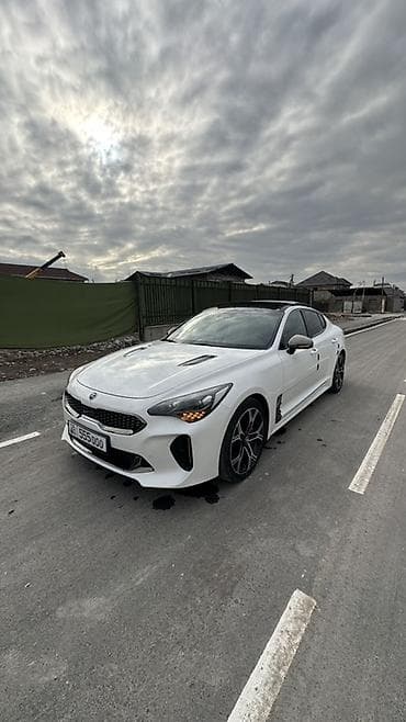 наклейки на авто: Kia Stinger: 2018 г., Бензин, Фастбек — 9