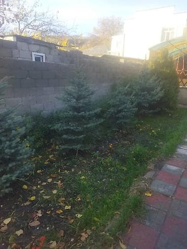 арзан ал: 8 соток, Курулуш, Кызыл китеп, Техпаспорт, Сатып алуу-сатуу келишими — 2
