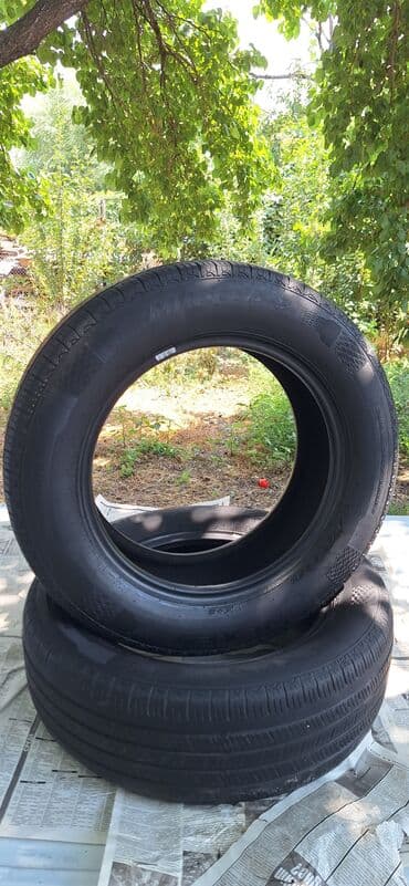 шины michelin: Шиналар 205 / 65 / R 16, All-season, Колдонулган, Жуп, Жеңил унаалар, Корея, Nexen — 1