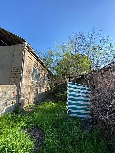 4 соток, Для строительства, Красная книга, Тех паспорт, Договор купли-продажи — 3