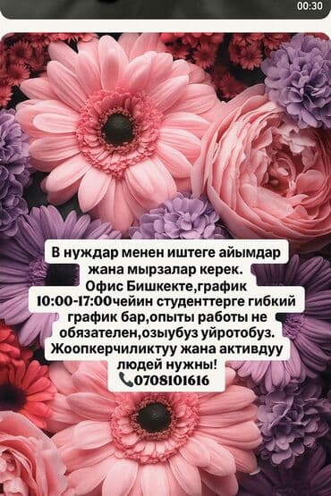 продаю офис: Требуется помощник оператора со знанием офисной работы, способный — 24