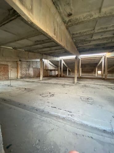 продаю дом село орок: 100 соток, Красная книга — 5