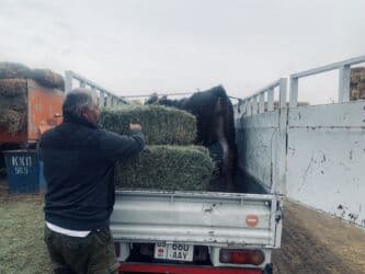 ищу работу на охрану: Porter, Регион боюнча, Шаар ичинде, жүк ташуучу жумушчусу менен — 9