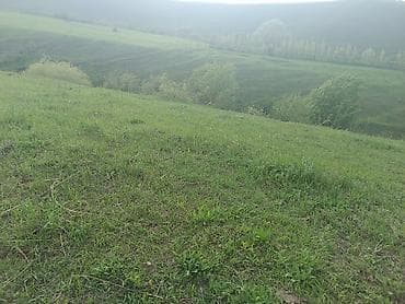 haunted mound: 15 соток, Для строительства — 9