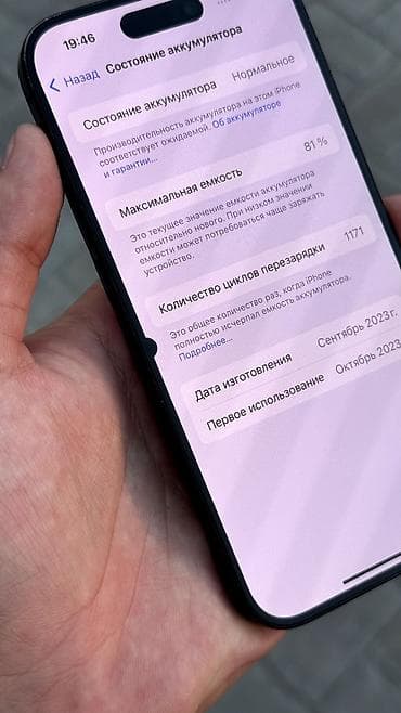 x6 pro: IPhone 15 Pro, Б/у, 256 ГБ, 81 % — 6