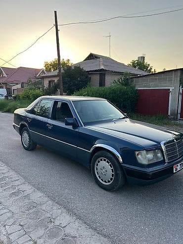 рейлинги на карнивал: Mercedes-Benz W124: 1990 г., 2.3 л, Механика, Бензин, Седан — 9