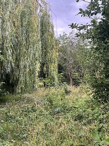 Недвижимость: 30 соток, Для сельского хозяйства — 2