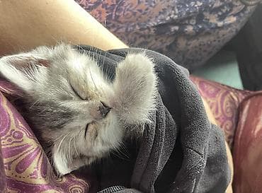1 месяц, Девочка