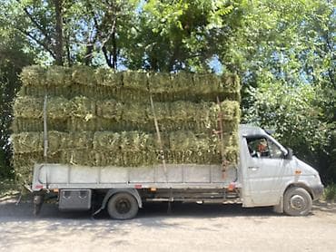 тюк прес: Продаю тюки плотные чоп сатылат доставка бар Сено в тюках - — 2