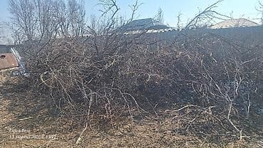 Бакча техникасы жана жабдуулар: Отун Өзү алып кетүү — 3