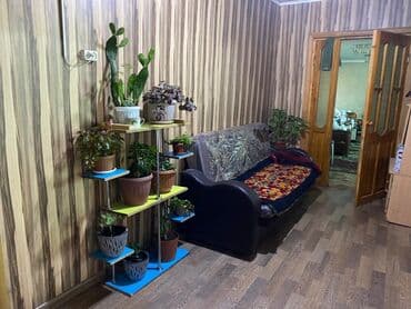 крыши домов: Новый пансион АМАНАТ уход 24/7 круглосуточная внимание 5-разовое — 7