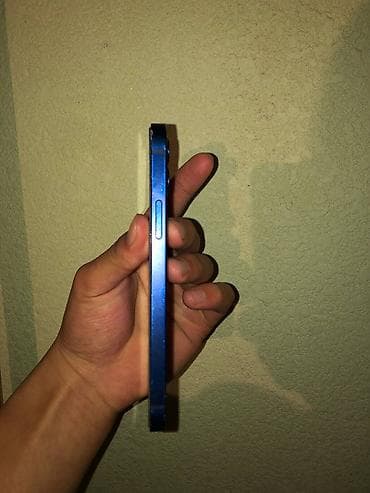 kindle бишкек: IPhone 12, Колдонулган, 64 ГБ, Көк, Каптама, 79 % — 7