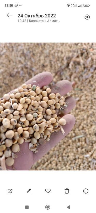 Товары и оборудование для с/х животных