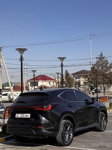 lexus aristo: Lexus NX: 2023 г., 2.4 л, Автомат, Бензин, Кроссовер — 4