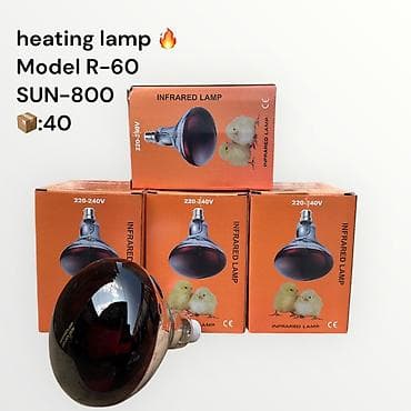 светильник аквариум: Инфракрасная отопительная лампа R-60 SUN-800 - Назначение: обогрев — 1