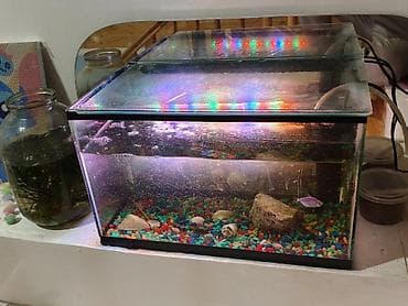 аквару: Аквариумный комплект для домашних рыб. +6 шт.с рыбкой - — 3