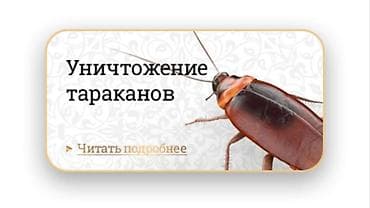 Клининговые услуги: Дезинфекция, дезинсекция, | Блохи, Обработка деревьев, Вирусы, микробы, | Кафе, магазины, Подъезды, Дворы — 1