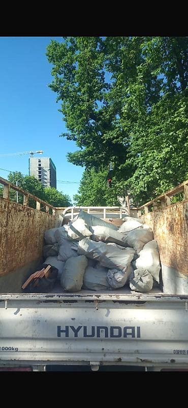 тарнадор для химчистки: Заказать Хендай портер, Вывоз строй мусора, C грузчиком — 2