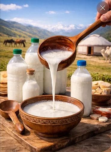 продаю кымыз: Кумыс натуральный, традиционный напиток кочевников,саамал кымыз — 1