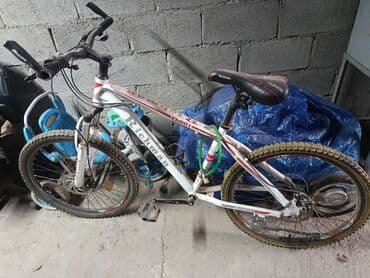 какой бизнес можно открыть в бишкеке: Велосипед
если приедете ещё снижу цену — 4