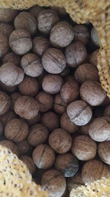 зимний арбуз: Продаю Грецкий орех, урожай текущего сезона. - Чистые, сухие — 3