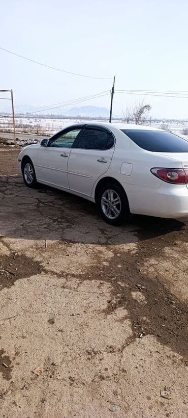 продажа авто в бишкеке срочно: Toyota Windom: 2004 г., 0.3 л, Автомат, Бензин, Седан — 3