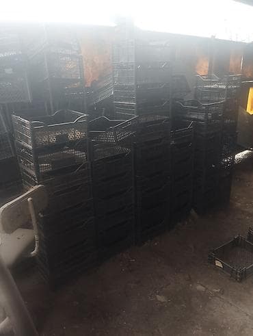 биндеры 220 листов для дома: Пластиковый Ящик — 5