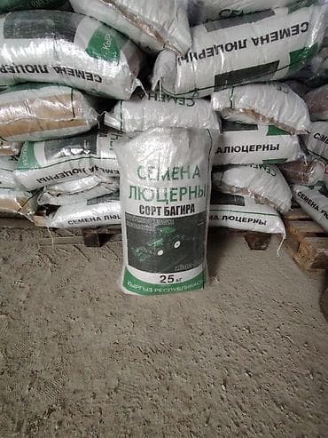 семена клевера: Семена кормовых растений: Люцерна, Самовывоз — 5