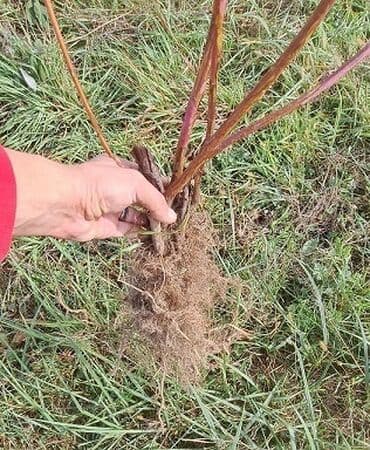 набор ключей купить: Малина Оптом, Платная доставка — 2