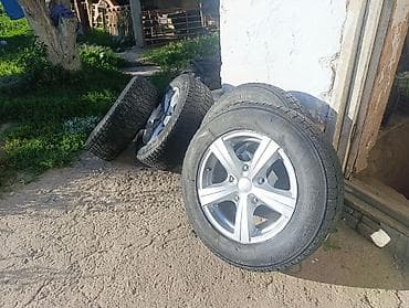 Ниваныкы 4 штук покрышкасы менен