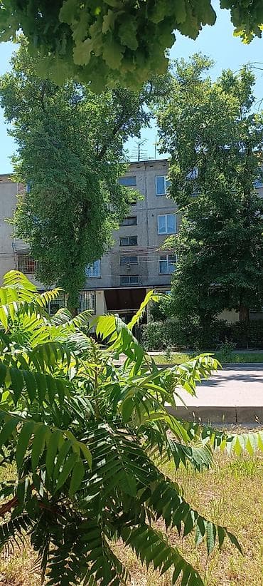 угловой: 3 комнаты, 58 м², 104 серия, 2 этаж, Косметический ремонт — 1