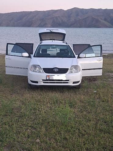 fort focus: Toyota Corolla: 2003 г., 1.6 л, Механика, Бензин, Универсал — 2