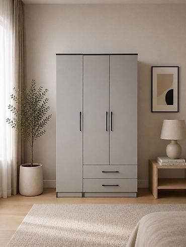 cab 30: Шифоньер, шкаф для одежды, Новый, Прямой, ЛДСП — 1