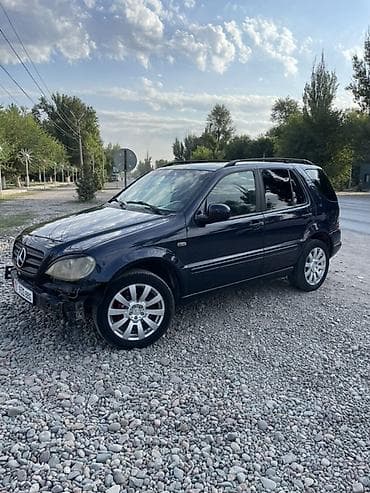 bmw x2: Mercedes-Benz ML-Class: 1999 г., 3.2 л, Автомат, Бензин, Кроссовер — 1