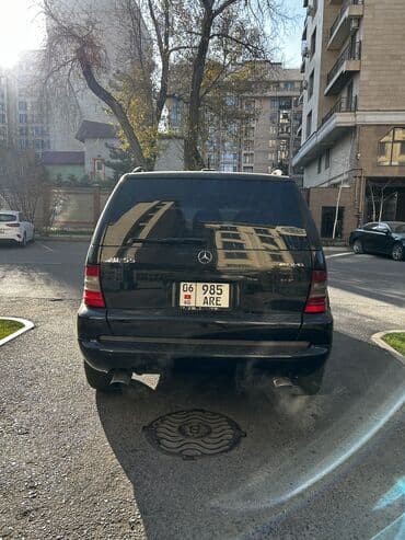 очень нужны: Mercedes-Benz M-Class: 2000 г., 5.5 л, Автомат, Бензиновая, Внедорожник — 6