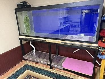 Большой аквариум с тумбой и оборудованием. Характеристики: - Объем