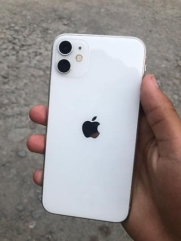 IPhone 11, 64 ГБ, White Titanium, Зарядное устройство, Чехол, 69 %