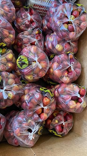 абрикос зеленый: Яблоки Оптом — 7