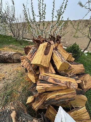 сухие колотые дрова: Дрова — 5