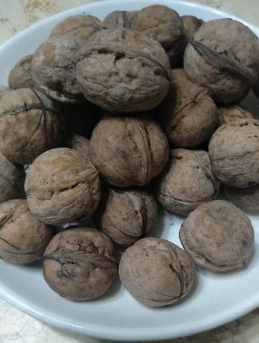 Здоровое питание: ПРОДАЮ ГРЕЦКИЕ ОРЕХИ. БОЛЕЕ 100 КГ. ЦЕНА ДОГОВОРНАЯ — 1