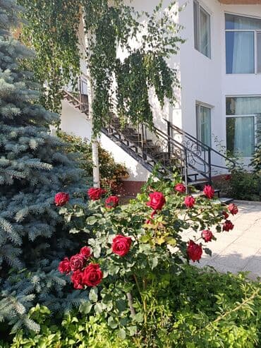 купить дом в кок жар бишкек: Номер, ФУРОР | Кыргызское взморье, Бостери, Унаа токтотуучу жай, унаа туруучу жай, Коргоодогу аймак — 1