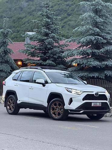 launch 431: Toyota RAV4: 2023 г., 2.5 л, Автомат, Гибрид, Внедорожник — 3