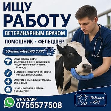 кой сойу: Услуги: ветеринарный помощник / фельдшер. Специализация — работа с — 1