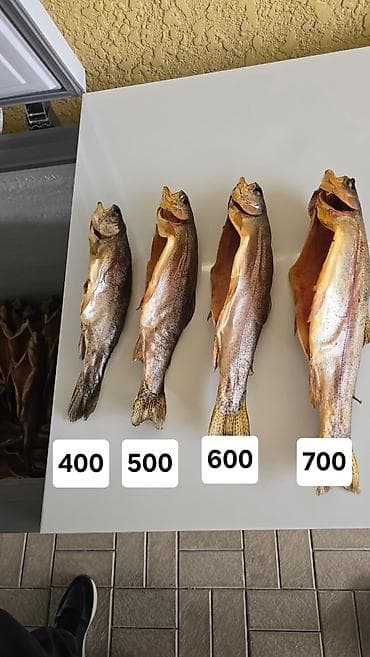 Вяленая рыба (цельная, потрошённая, без головы/с разрезом брюшка) at lalafo.kg Вяленая рыба (цельная, потрошённая, без головы/с разрезом брюшка)