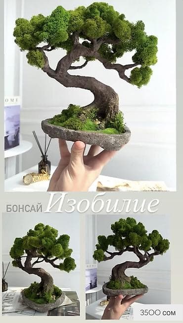 декоративная кора: Цены от 1500 сом( указаны на фото) В наличии и на заказ (3-7 дней) — 2