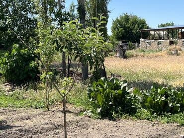 участок дом село кок жар: Дом, 25000 м², 5 комнат, Собственник, Старый ремонт — 16
