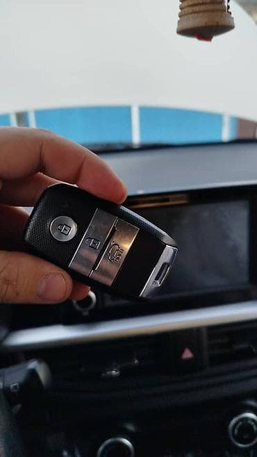 Аварийное вскрытие замков: Автоключи и брелоки дистанционного управления Описание: - Ассортимент — 6