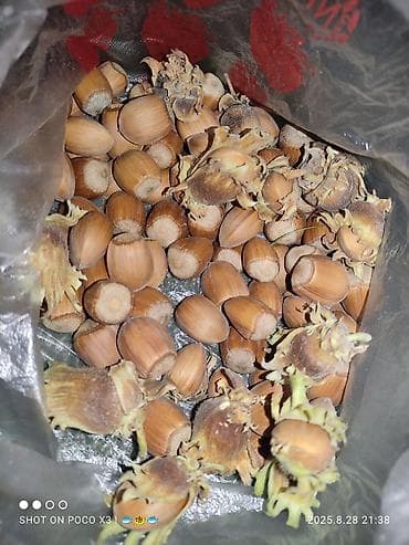 село петровка дом: Дом, 80 м², 8 комнат, Собственник, Старый ремонт — 10