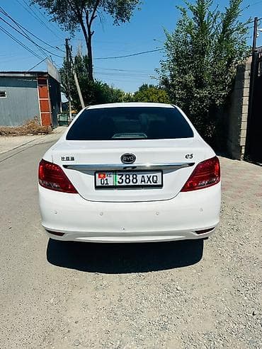 радиатор на виндом: BYD E5: 2019 г., Автомат, Электромобиль, Седан — 2