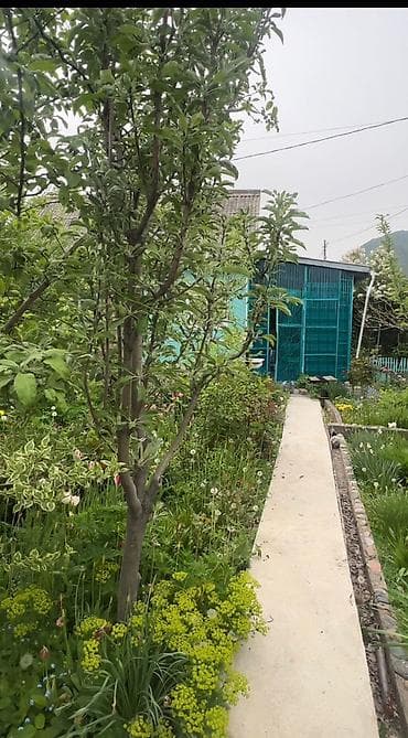 продаю дом лебединовка: Продаю дачный участок с домом УГЛОВОЙ ! Кой таш в СТ "Предгорный" — 5